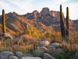 Catalina state park